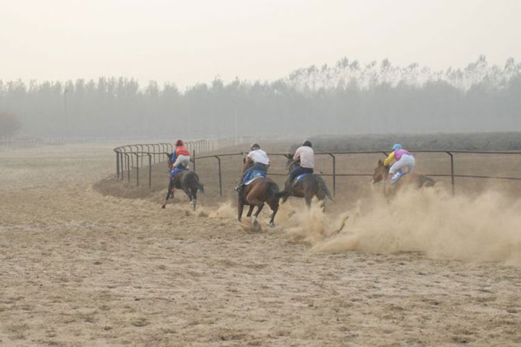 大兴团建基地：骑士公园度假村